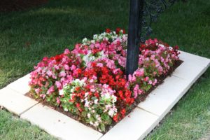 Landscaping in St. Louis West County
